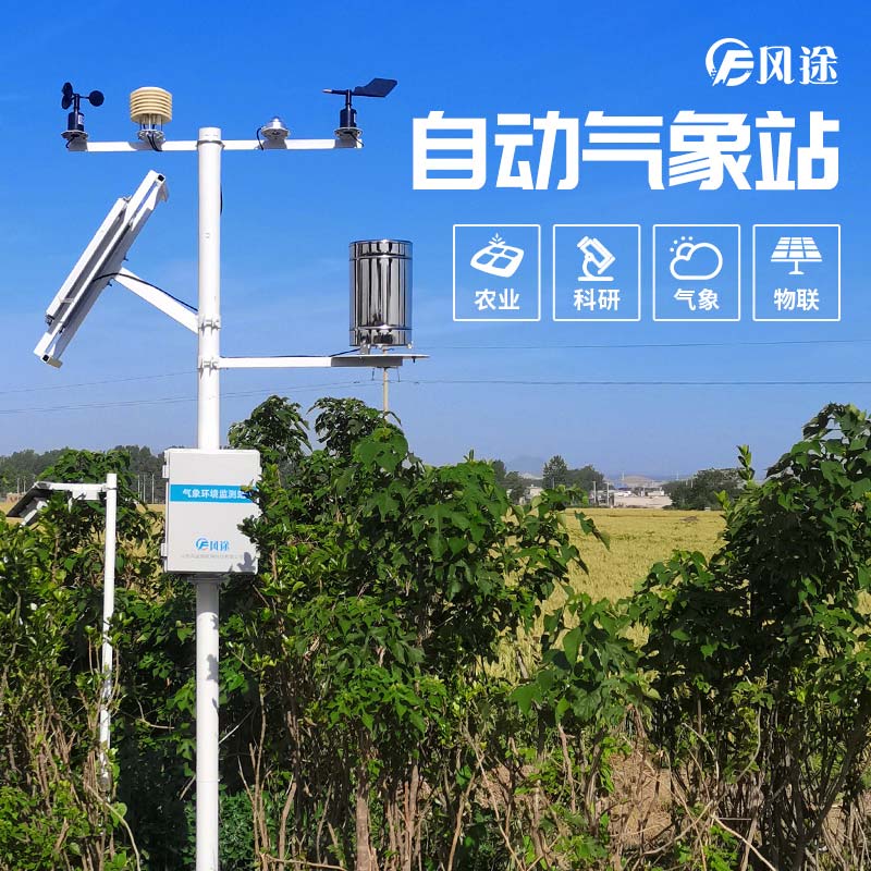 小麥穗期病蟲害如何監測？